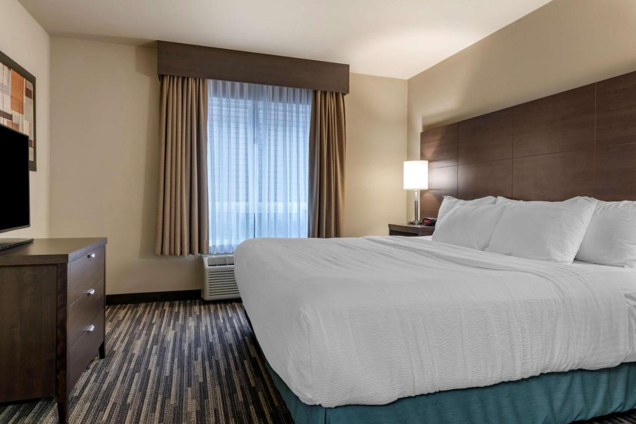 Best Western Plus Dartmouth Hotel & Suites Buitenkant foto